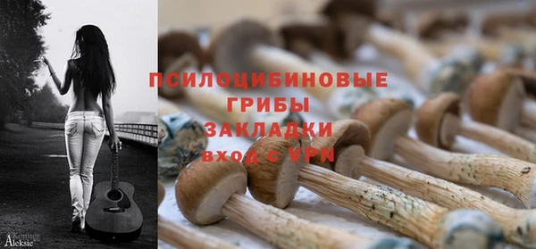 гашик Богданович