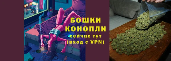 гашик Богданович