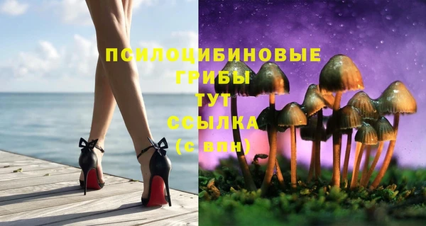 первитин Белокуриха