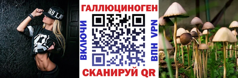 Галлюциногенные грибы GOLDEN TEACHER  Комсомольск-на-Амуре 